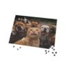 A cheeky red cat takes a selfie with bulldogs-puzzle