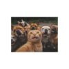 A cheeky red cat takes a selfie with bulldogs-puzzle