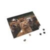A cheeky red cat takes a selfie with bulldogs-puzzle